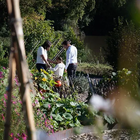 Chateau De Maubreuil 꺄르끄푸